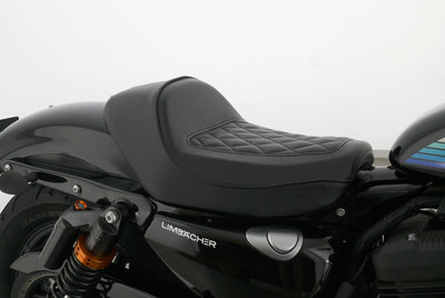 HARLEY DAVIDSON SPORTSTER XL 1200 NS IRON