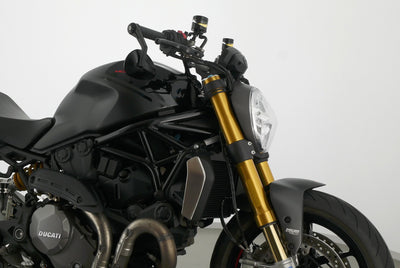 DUCATI MONSTER 1200 S