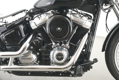 HARLEY DAVIDSON SOFTAIL STANDARD