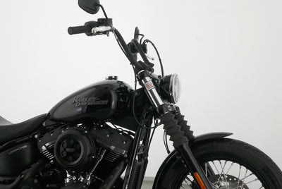 HARLEY DAVIDSON SOFTAIL STREET BOB