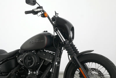 HARLEY DAVIDSON SOFTAIL STREET BOB 107