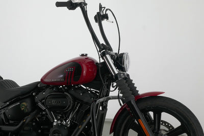 HARLEY DAVIDSON SOFTAIL STREET BOB 114