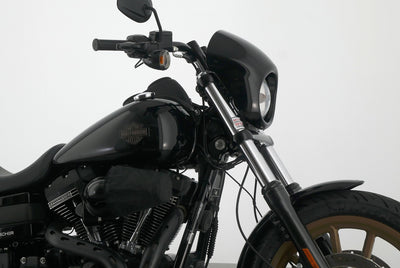 HARLEY DAVIDSON DYNA LOW RIDER S