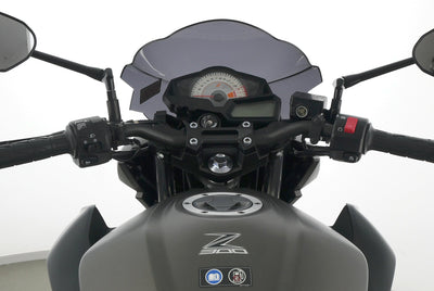 KAWASAKI Z 300